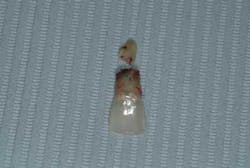 1212adamoantimp05 1212adamoantimp05