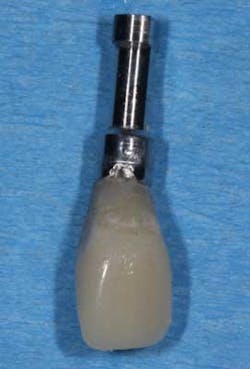 1212adamoantimp08 1212adamoantimp08