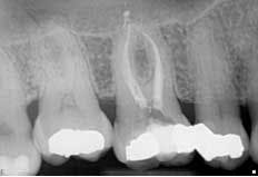 14dec18srrjohnson04 14dec18srrjohnson04