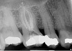 14dec18srrjohnson05 14dec18srrjohnson05