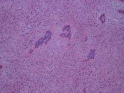 14feb27srrramerhpt Jt03 14feb27srrramerhpt Jt03