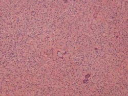 14feb27srrramerhpt Jt04 14feb27srrramerhpt Jt04