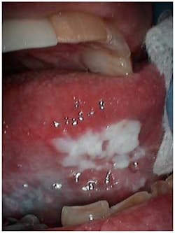 14jun12srrlukesgeriatric02 14jun12srrlukesgeriatric02