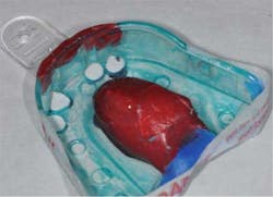 14may22srrfaginmandibtori02a 14may22srrfaginmandibtori02a