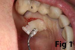 14may8srryoobear01 14may8srryoobear01