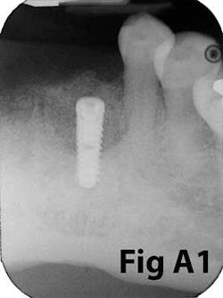 14may8srryoobeara1 14may8srryoobeara1