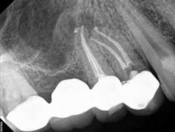 14oct9srrmccormack06 14oct9srrmccormack06