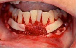 15sept17pia Curryroblee09 15sept17pia Curryroblee09