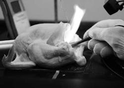 Anesthesiaprogress Surgical Fire Anesthesiaprogress Surgical Fire