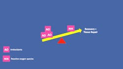 Antioxidant 3 Antioxidant 3