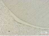 Bertolottifig1 Bertolottifig1