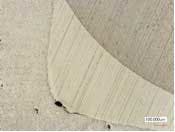 Bertolottifig3 Bertolottifig3