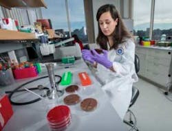 Bibchainpic1 Bibchainpic1