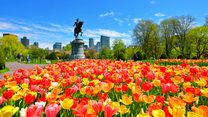 Boston