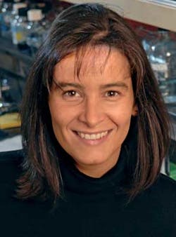 Cristinateixeira Cristinateixeira