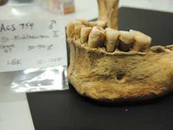 Early Farmer Early Farmer