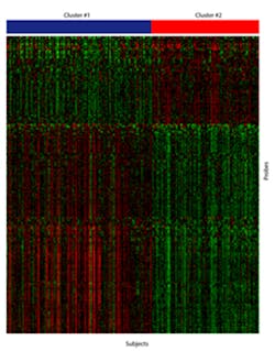 Geneticsignature Copy Geneticsignature Copy