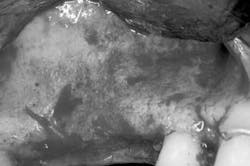 Mar142013srrgeminianifig1 Mar142013srrgeminianifig1