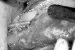 Mar142013srrgeminianifig3 Mar142013srrgeminianifig3