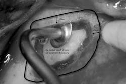 Mar142013srrgeminianifig4 Mar142013srrgeminianifig4