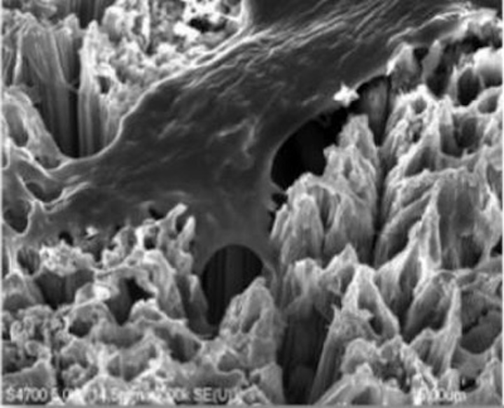 Nanotechnology