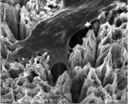 Nanotechnology Nanotechnology