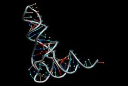 Rna Dreamstime Rna Dreamstime