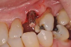 Saliernowrong02 Saliernowrong02