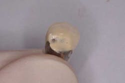 Saliernowrong05 Saliernowrong05