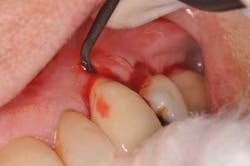 Saliernowrong08 Saliernowrong08