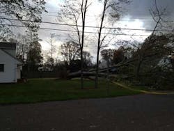 Sandyfroum01 Sandyfroum01