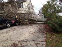 Sandyfroum02 Sandyfroum02