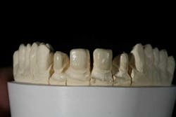 Shullrobertsfig8 Shullrobertsfig8