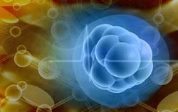 Stemcellsdreamstime Stemcellsdreamstime