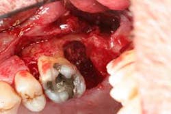 16feb18piafroum Clintip06a 16feb18piafroum Clintip06a