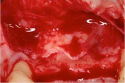 14oct23srrmannfroum05 14oct23srrmannfroum05