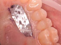 16piajan21 Tuttle03 16piajan21 Tuttle03