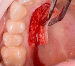 16piajan21 Tuttle04 16piajan21 Tuttle04