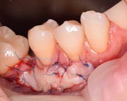 16piajan21 Tuttle05 16piajan21 Tuttle05