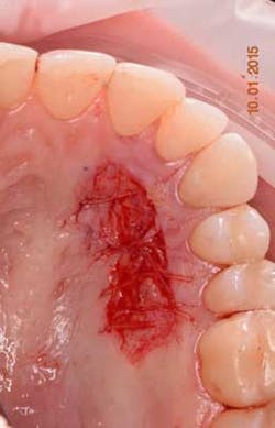 16piajan21 Tuttle06 16piajan21 Tuttle06