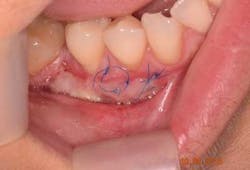 16piajan21 Tuttle07 16piajan21 Tuttle07