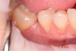 16piajan21 Tuttle08 16piajan21 Tuttle08