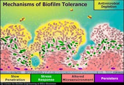 16jun16piakeller03 16jun16piakeller03