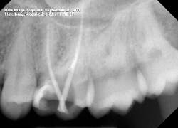 16oct20piamann02 16oct20piamann02