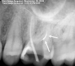 16oct20piamann03 16oct20piamann03