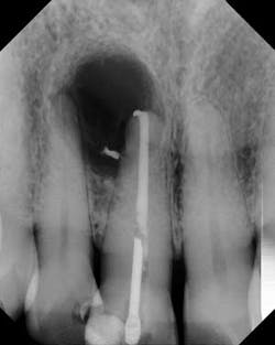 16may19piafroum02 16may19piafroum02