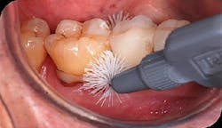 17feb9piainsanity P01 17feb9piainsanity P01