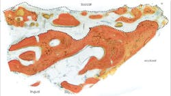 17mar9pialee P02 17mar9pialee P02