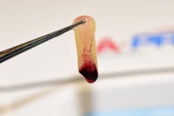 17apr13piagumdrop P05 17apr13piagumdrop P05