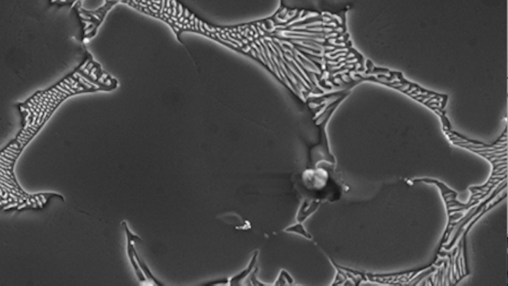 Magnesium Alloy